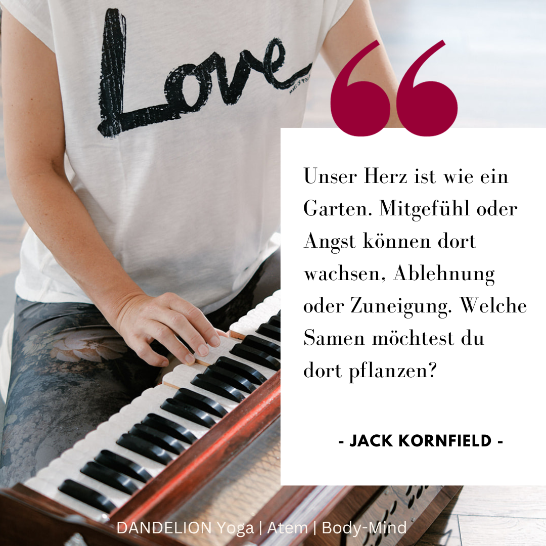 News — DANDELION Yoga | Atem | Body-Mind